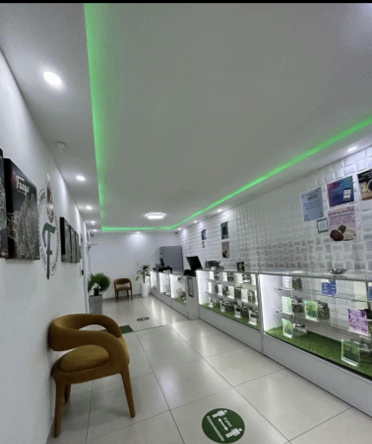 Casa Verde showroom